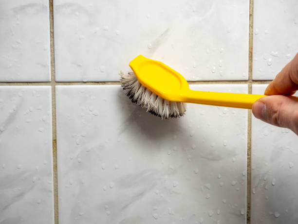  Trowbridge Park, MI Mold Removal Pros