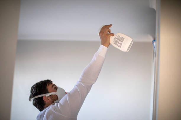Trowbridge Park, MI Mold Removal Company