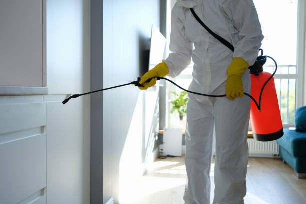 Best Commercial Mold Removal  in Trowbridge Park, MI